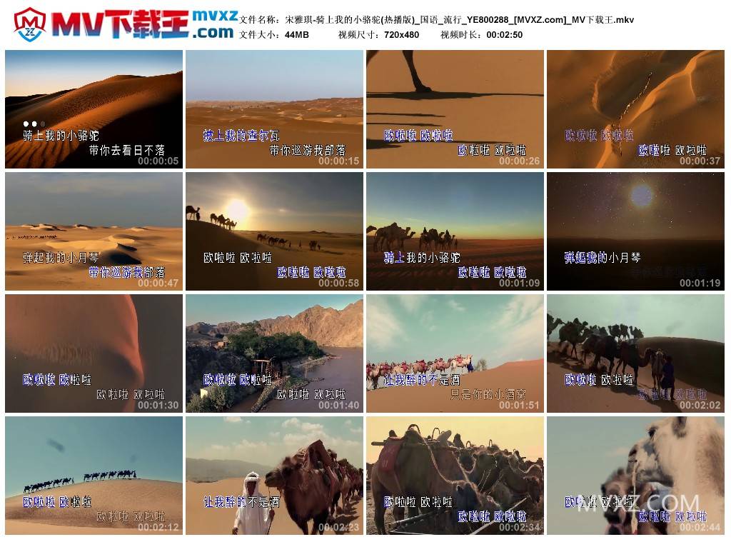 宋雅琪-骑上我的小骆驼(热播版)_国语_流行_YE800288